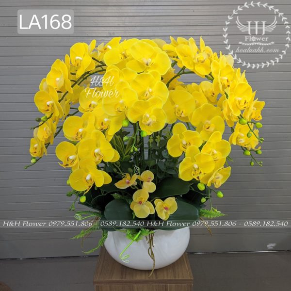 chau-lan-ho-diep-hoa-gia-cao-cap-la168